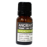 Aromatherapy Essential Oil - Eucalyptus - 10ml - MysticSoul_108