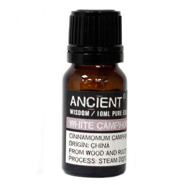 Ätherisches Aromatherapieöl – Weißer Kampfer – 10 ml