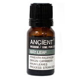Aromatherapy Essential Oil - Bay Leaf - 10ml - MysticSoul_108