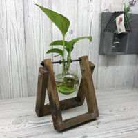 Hydroponic Home Décor - One Pot Wooden Stand
