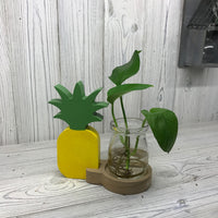 Hydroponic Home Décor - Pineapple Pot - MysticSoul_108