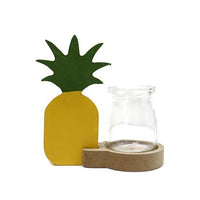 Hydroponic Home Décor - Pineapple Pot - MysticSoul_108