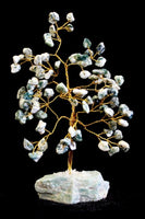 Gemstone Tree - Tree Agate - 80 Stone
