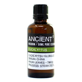 Aromatherapy Essential Oil - Eucalyptus - 50ml