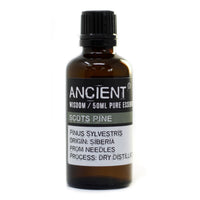 Aromatherapy Essential Oil - Pine Sylvestris (Scots Pine) - 50ml