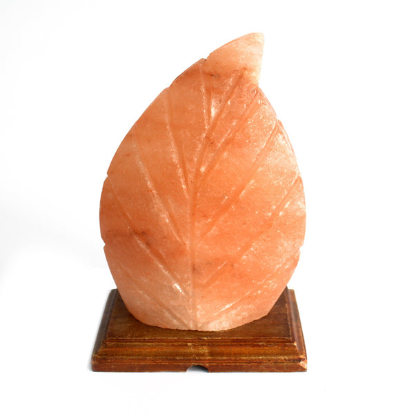 Lampe en roche de sel de l'Himalaya - Rose - Fougère - 15 cm - Lumière solide