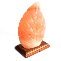 Himalaya-Salzsteinlampe – Rosa – Farn – 15 cm – solides Licht