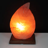 Lampe en roche de sel de l'Himalaya - Rose - Fougère - 15 cm - Lumière solide