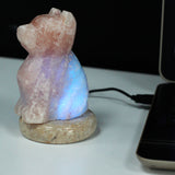 Lampe en pierre de sel de l'Himalaya - Rose - Chien - 12,5 cm - Lumière clignotante multicolore