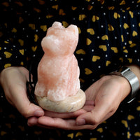 Lampe en pierre de sel de l'Himalaya - Rose - Chien - 12,5 cm - Lumière clignotante multicolore