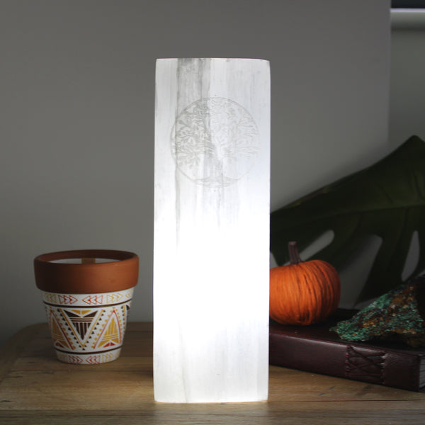 Lampe Bloc de Sélénite Naturelle - Arbre de Vie - 28cm